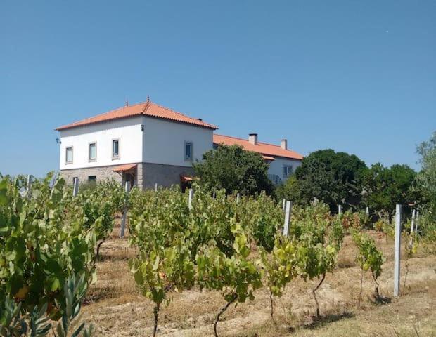 Quinta De Vodra Villa Seia Exterior photo